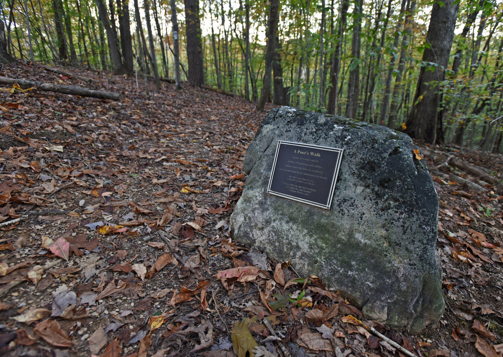 Knight Brown Nature Preserve
